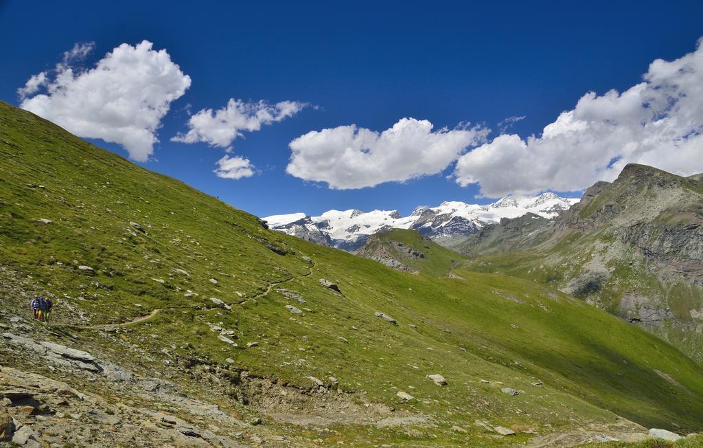 Le Coin Des Melezes - Nature & Trek - Camere In Baita Di Montagna Brusson Εξωτερικό φωτογραφία