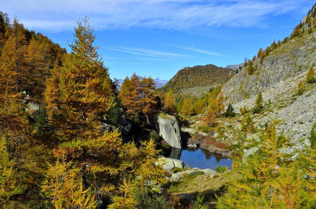 Le Coin Des Melezes - Nature & Trek - Camere In Baita Di Montagna Brusson Εξωτερικό φωτογραφία