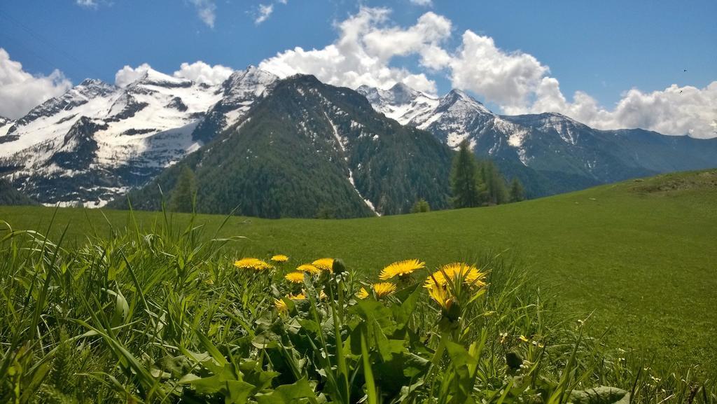 Le Coin Des Melezes - Nature & Trek - Camere In Baita Di Montagna Brusson Εξωτερικό φωτογραφία